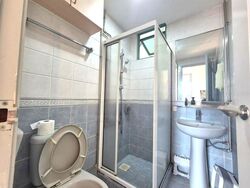 The Sunny Spring (D14), Apartment #480036151